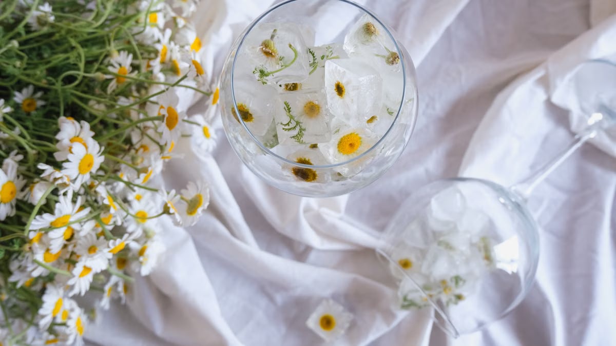 Artistic still life of chamomile flowers with ice cubes on white fabric.
